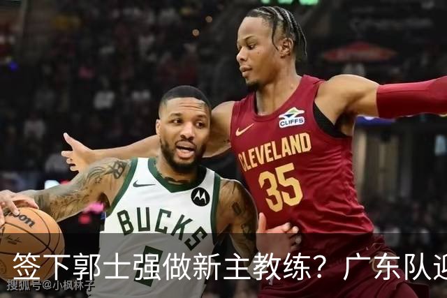 签下郭士强做新主教练？广东队迎来换帅机会，杜锋有望执教国家队